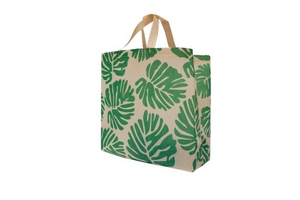 Screen Printed Box Bag