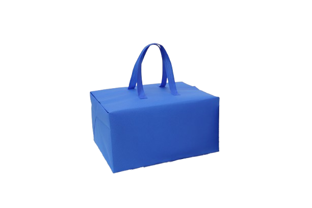 Pizza Box Bag