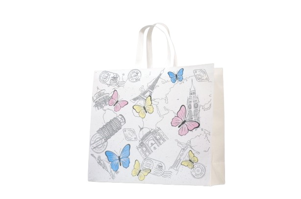 Flexo Printed Box Bag