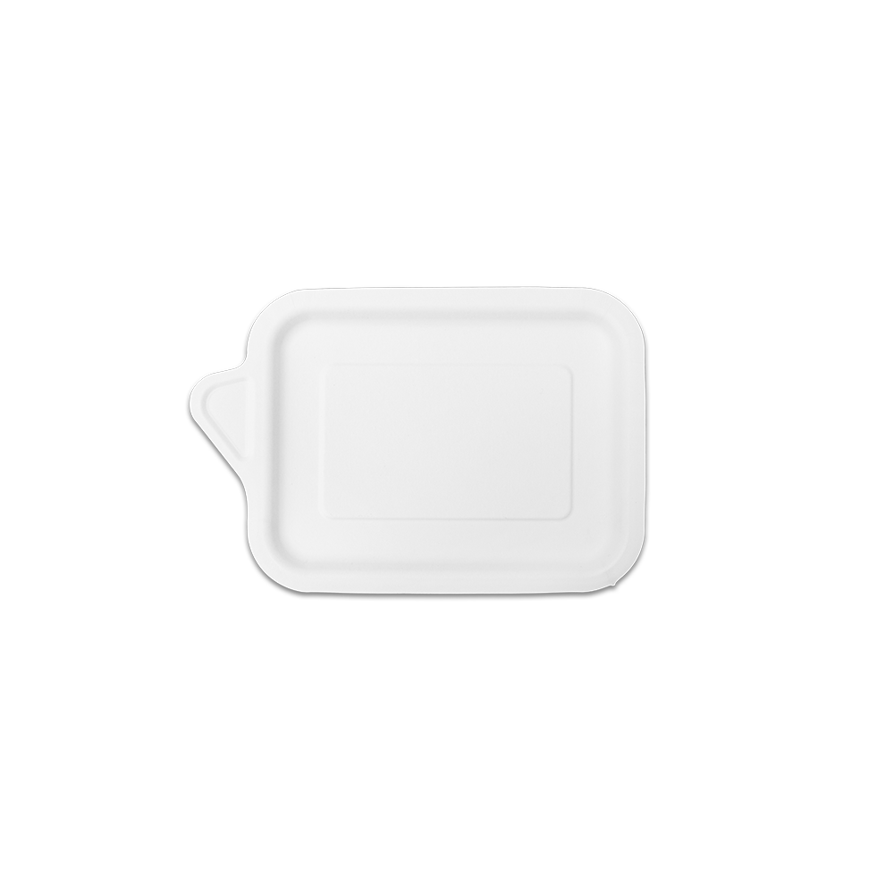 Disposable paper plate