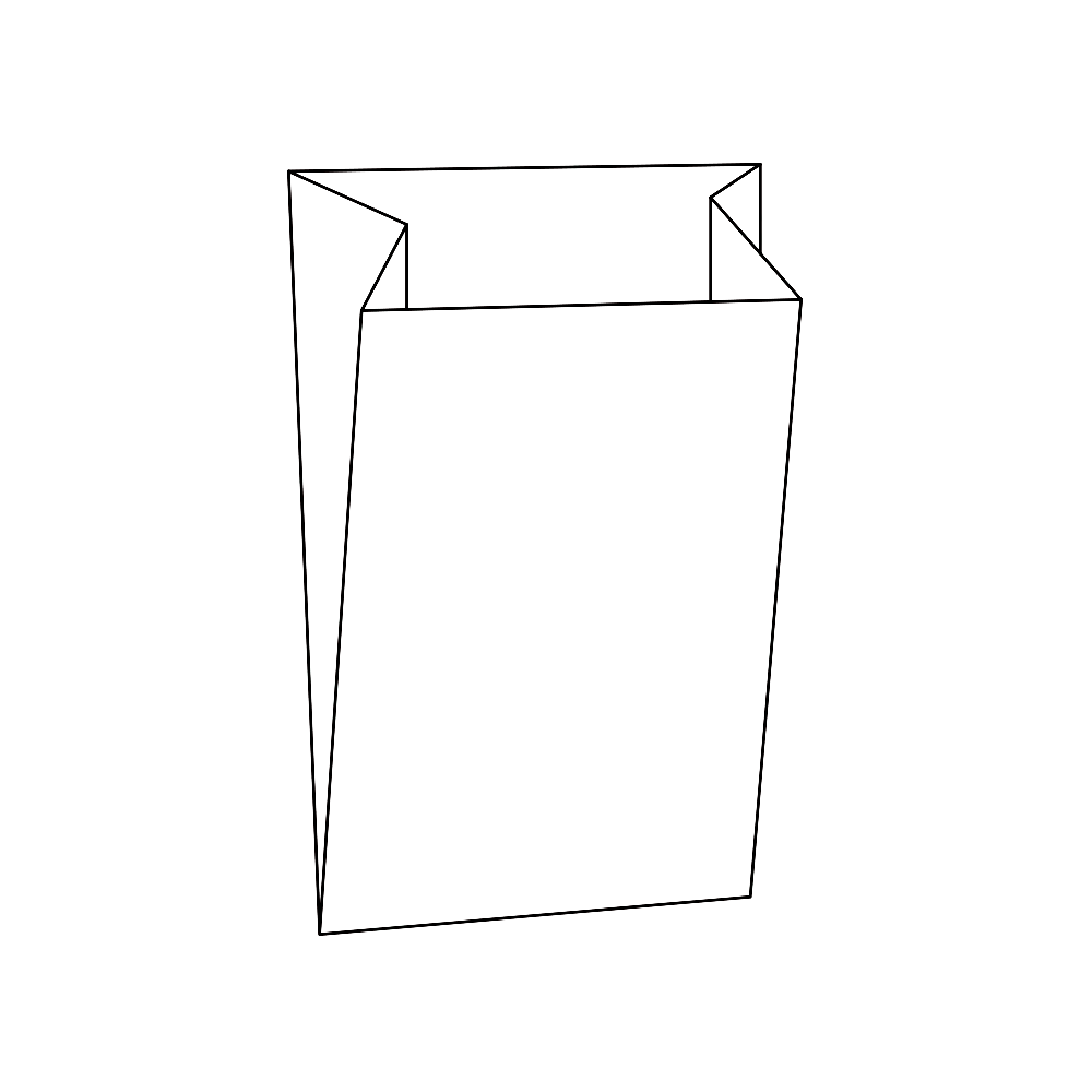 Flat Bottom Paper Bag