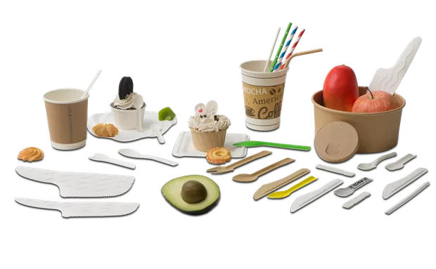 Sustainable Paper Tableware Development