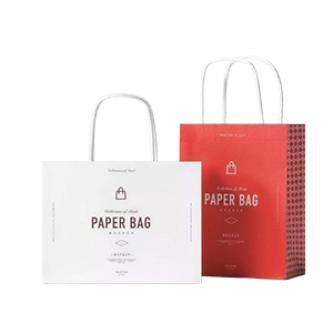圆绳手提购物纸袋Twisted-Handle-Paper-Shopping-Bags-for-Retail-Stores.png